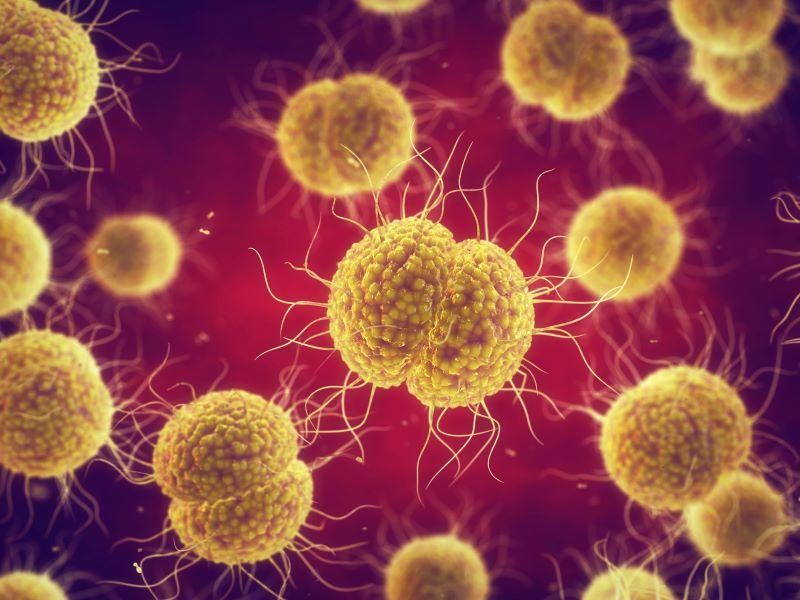 New Antibiotic Tackles Drug-Resistant Gonorrhea in Trial